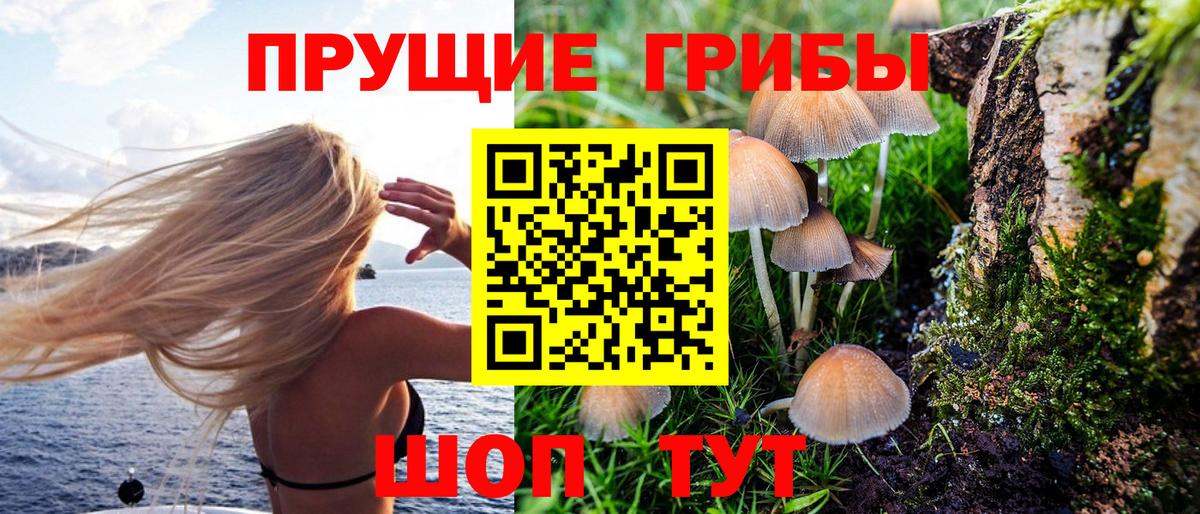 Псилоцибиновые грибы Magic Shrooms  Вход с VPN  где купить наркоту  Унеча 
